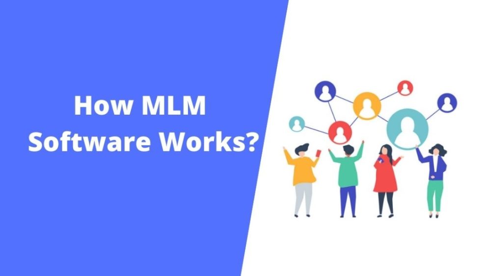 How MLM Software Works?