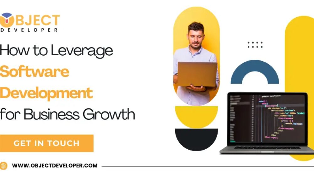 How to Leverage Software Development for Business Growth