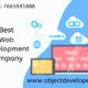 Best Software Development Company in Udaipur