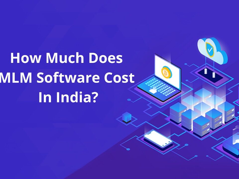 How much does MLM Software cost in India?