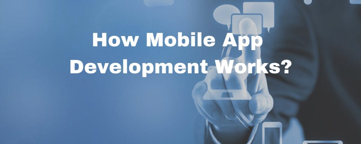 Best Software Development Company in Udaipur
