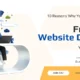 Best Software Development Company in Udaipur