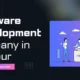 Best Software Development Company in Udaipur