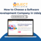Best Software Development Company in Udaipur