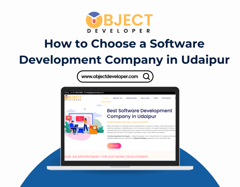 Best Software Development Company in Udaipur