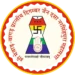 Best Software Development Company in Udaipur